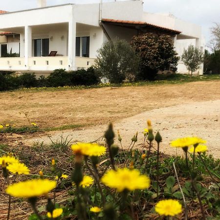 The Hillhouse Near Alexandroupolis Villa Bagian luar foto